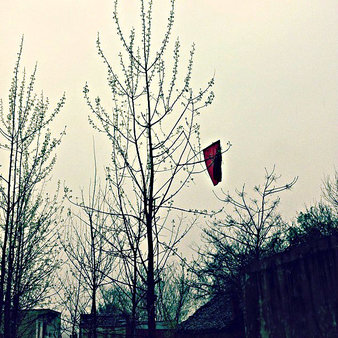 red flag in leafless tree - silent red flags, kids distancing themselves and  never joining in